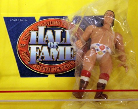 Hall of Fame Action figure Chief Jay Strongbow - Photo courtesy of Anthony Buccino  2017 all rights reserved
